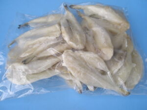 シロサバフグ 特別販売